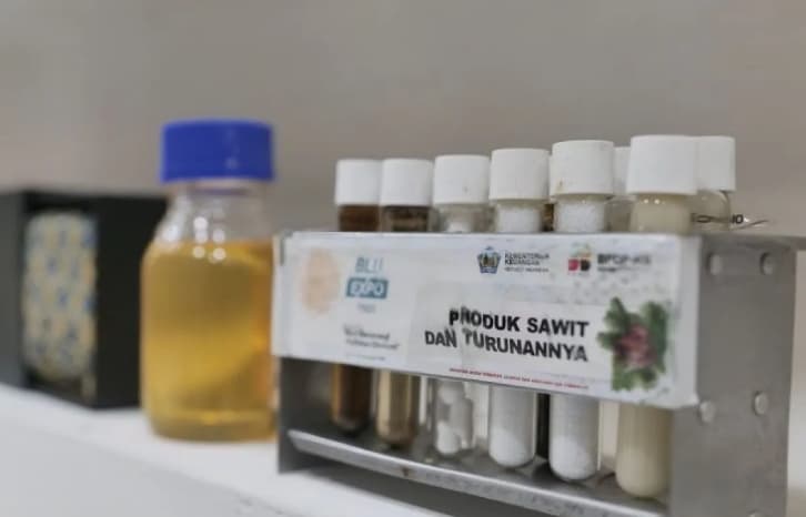 Sawit Diproyeksikan Memenuhi 60 Persen Kebutuhan Minyak Nabati Dunia pada 2050