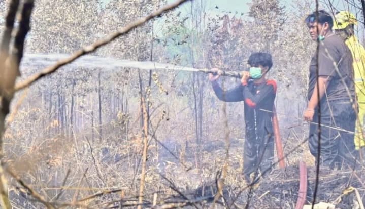 Kemenhut Wajibkan Pemegang PBPH Ambil Langkah Ekstra Hadapi Ancaman Karhutla akibat El Nino
