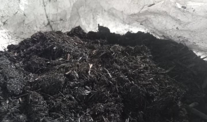Indonesia Berpeluang Menjadi Pemasok Biochar Global, ABII Dorong Penguatan Standar dan Sertifikasi