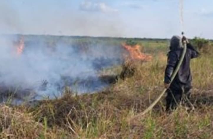 Karhutla Melanda 9.088 Hektare Lahan di Kalimantan Selatan, BPBD Mencatat 1.903 Kejadian