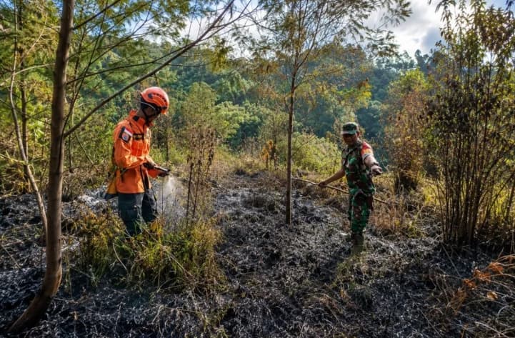BPBD Lumajang Ingatkan Warga Waspadai Titik Api Baru Usai Karhutla Ranupani