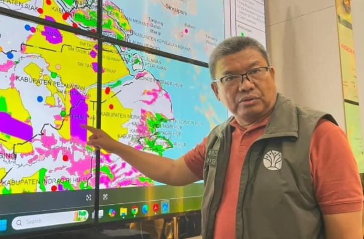 Karhutla Membakar Habitat Harimau Sumatra di Riau, BBKSDA Waspadai Bara Gambut Kembali Menyala