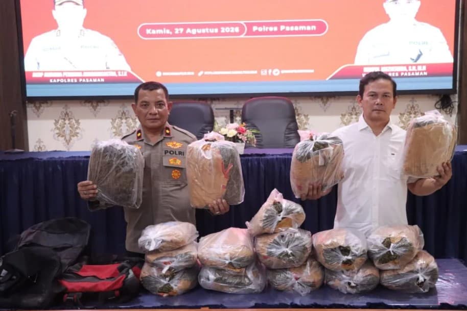 Polres Pasaman Tangkap Kurir Narkotika Berusia 17 Tahun, Sita 16 Kilogram Ganja