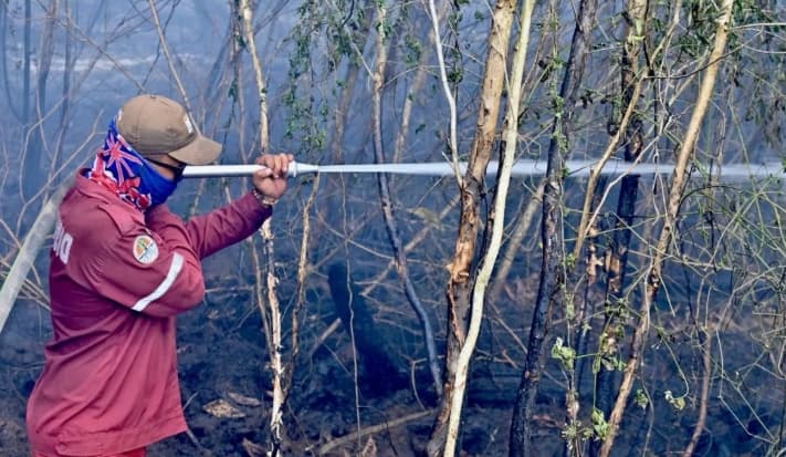 BMKG Mendeteksi 1.079 Titik Panas di Kalsel, Seluruh Wilayah Masuk Zona Merah Karhutla