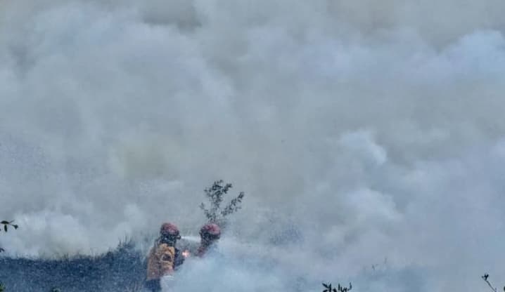 Kasus ISPA di Kalimantan Selatan Meningkat Jadi 36.196 di Tengah Karhutla