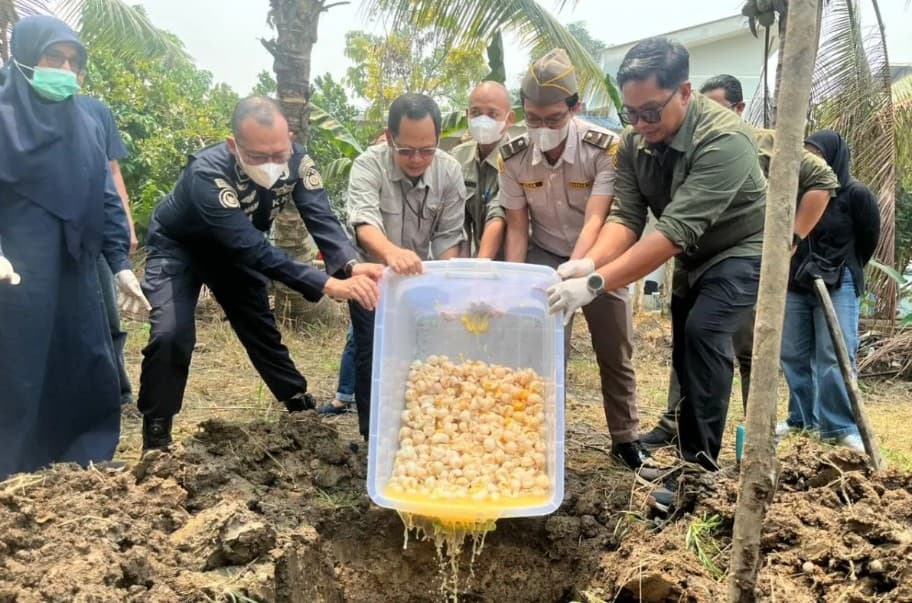 Balai PK Pontianak Musnahkan 1.190 Telur Penyu Infertil Temuan di Sambas