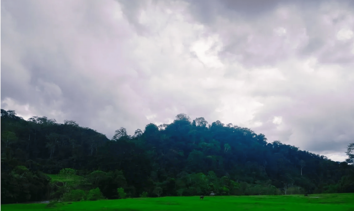 Pemkab Agam Usulkan 1.000 Hektare Sawah Terlantar Diaktifkan Kembali pada 2027