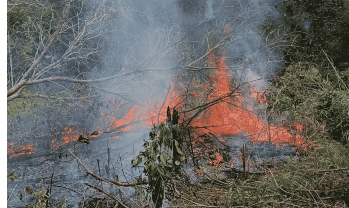 Jepang Kirim Kapal Kunisaki dan Tiga Helikopter untuk Bantu Padamkan Karhutla di Indonesia