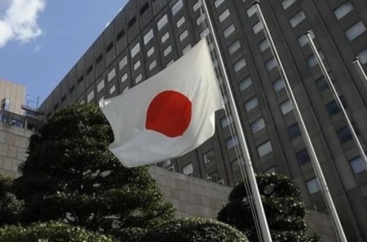Survei Pemerintah Menunjukkan 35 Persen Anak Muda Jepang Tidak Berniat Menikah