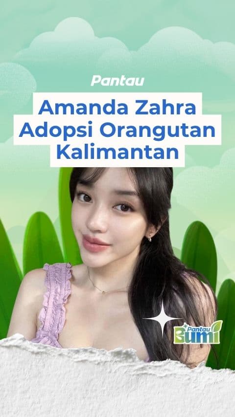 AMANDA ZAHRA ADOPSI ORANG UTAN KALIMANTAN