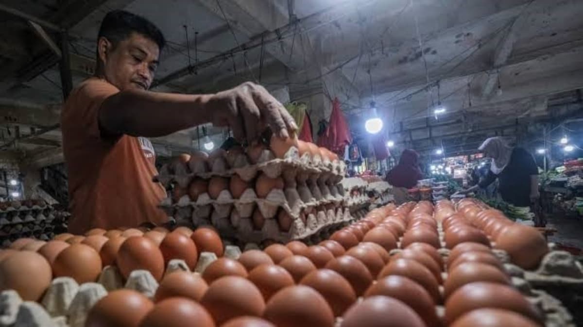 Herry Dermawan Ungkap Harga Telur Masih di Bawah HAP