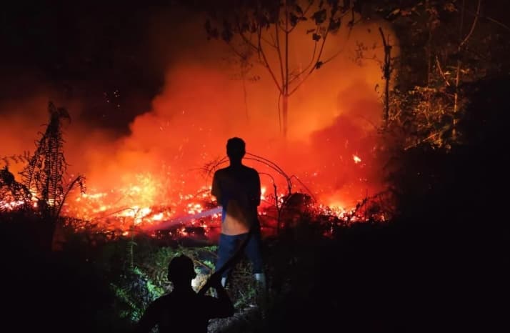 Karhutla Kembali Menyala di Bulungan, Petugas Berjuang Padamkan Api yang Membakar 55 Hektare Lahan