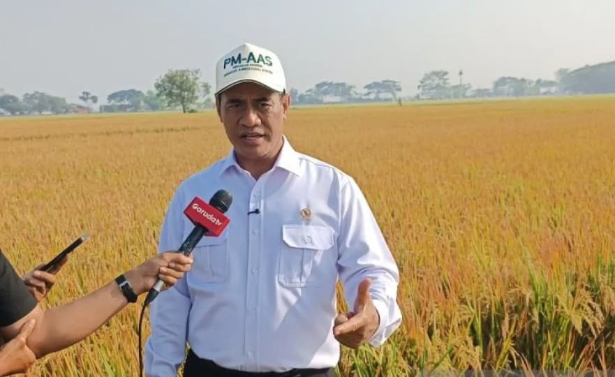 Kementan Anggarkan Benih untuk 1 Juta Hektare, Amran Targetkan Produktivitas Padi Melonjak