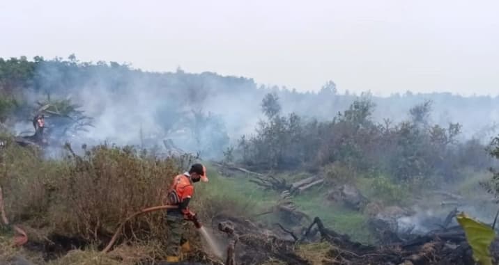 BPBD Muara Enim Mencatat 423,5 Hektare Lahan Terbakar dan Menetapkan Wilayah sebagai Zona Merah Karhutla
