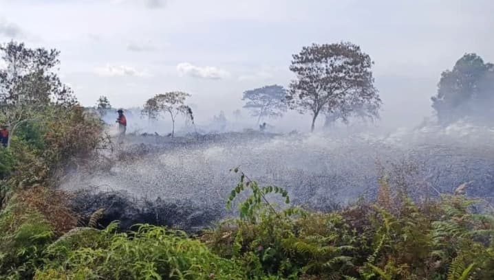 Karhutla di Tiga Kecamatan Aceh Barat Meluas, BPBD Catat 9,5 Hektare Lahan Terbakar
