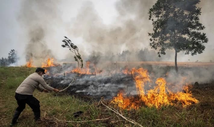 Anggota DPR Meminta Perlindungan Satwa Masuk dalam Penanganan Karhutla