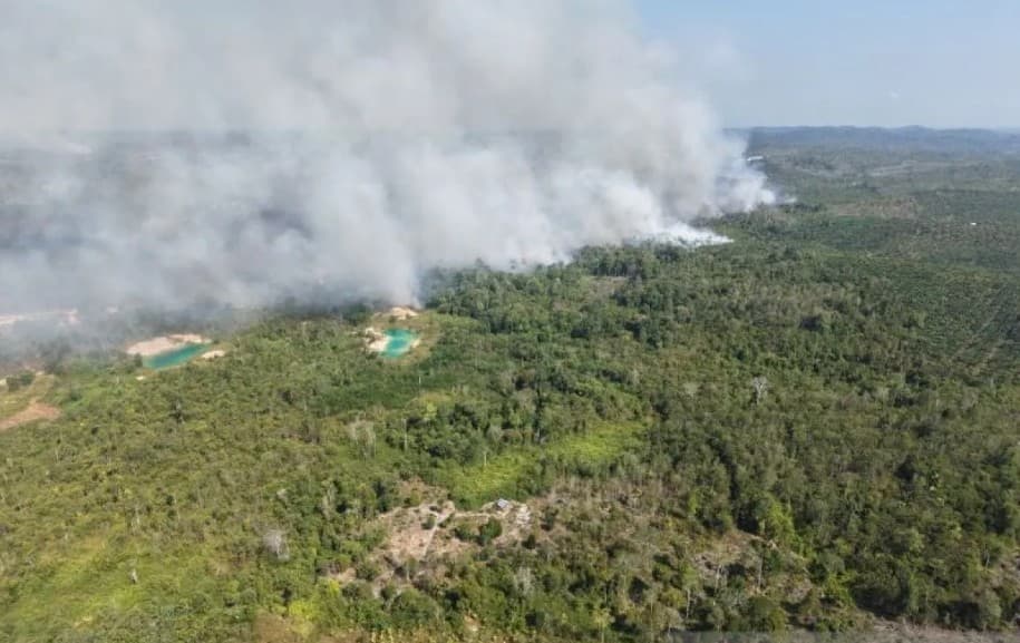 TNI AU Kerahkan Helikopter Caracal untuk Padamkan Karhutla yang Kembali Membara di Sekitar IKN