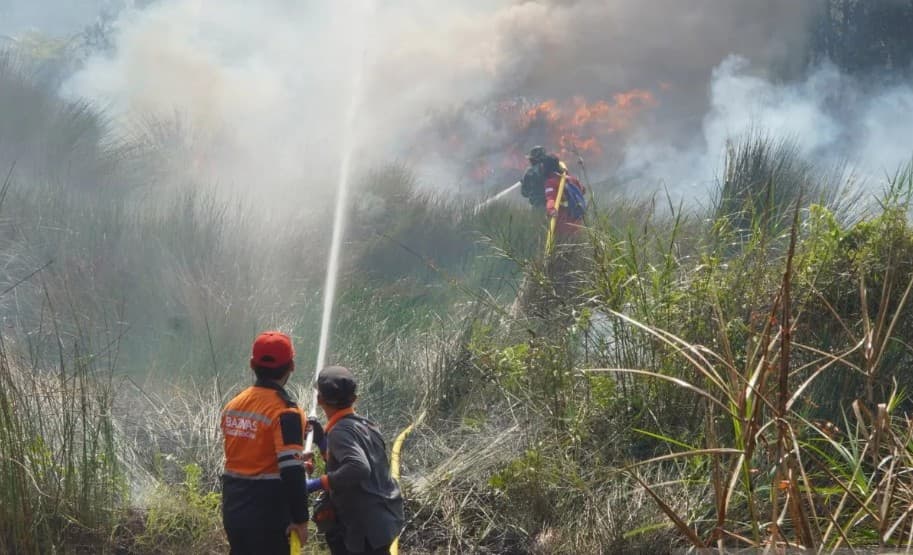 Baznas Terjunkan Tim Tanggap Bencana untuk Bantu Padamkan Karhutla di Kalbar dan Kalsel