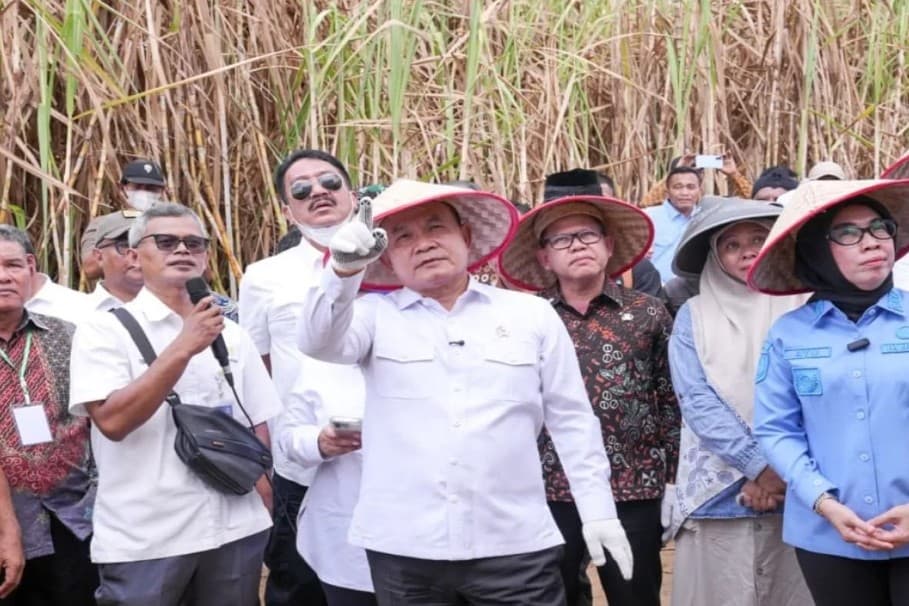 KSP Pastikan 1.200 Keluarga Petani Register 44 Bisa Panen Tebu, Perpres Disiapkan untuk Perkuat Kemitraan