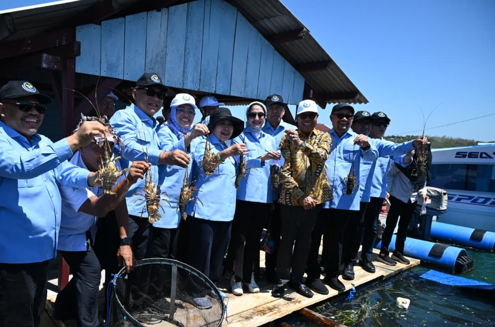 Komisi IV Mendorong Budidaya Lobster Nasional Naik Kelas dan Kuasai Pasar Dunia