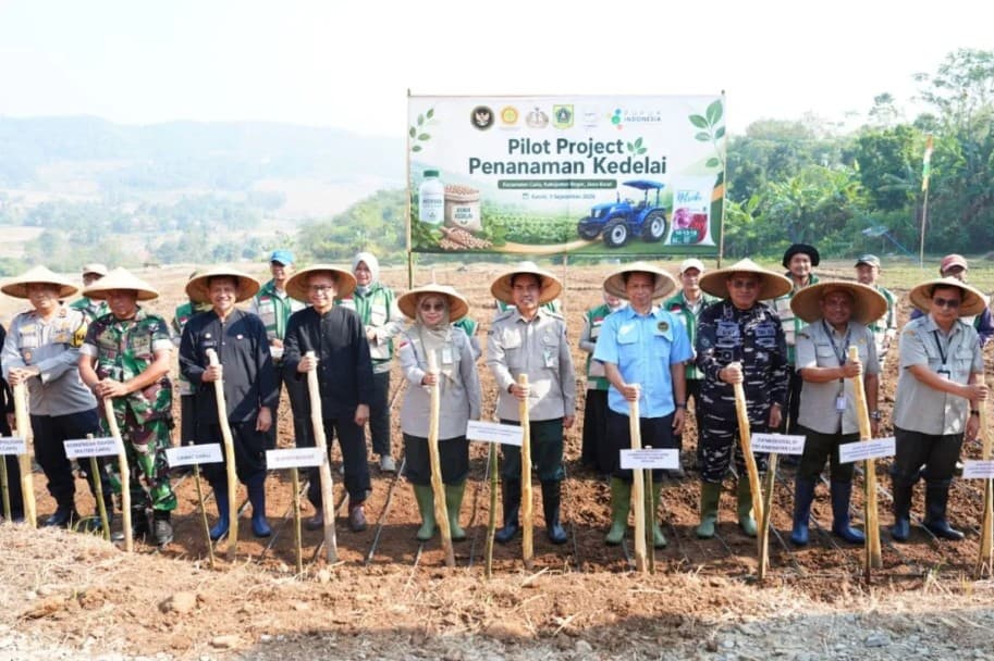 Kemenko Pangan Memulai Proyek Kedelai 25 Hektare di Bogor untuk Menekan Ketergantungan Impor