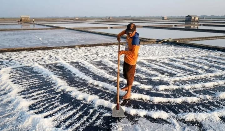 Indef Nilai Peningkatan Mutu Garam Domestik Menjadi Kunci Menekan Impor Industri