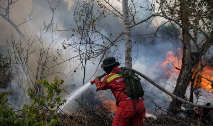 Titik Panas Karhutla Menurun, Menhut Raja Juli Antoni Minta Semua Pihak Tetap Waspada