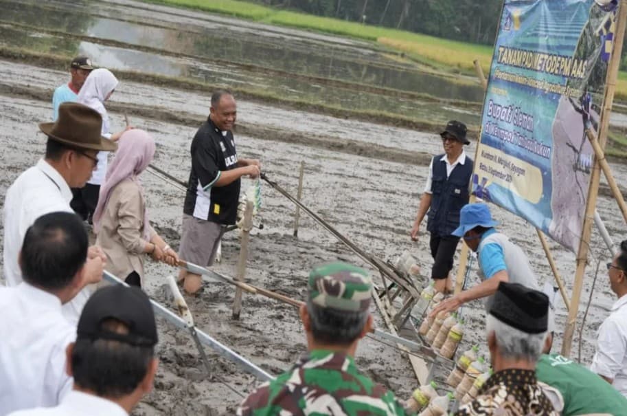 Pemkab Sleman Terapkan PM AAS untuk Dongkrak Hasil Panen di Tengah Penyusutan Lahan Sawah