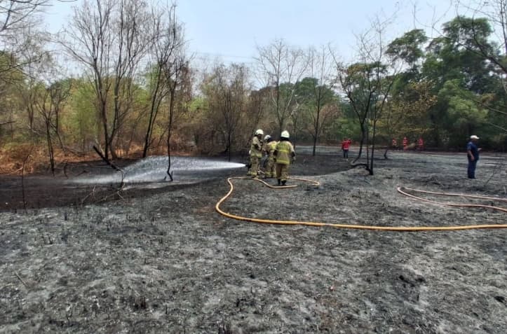 Gulkarmat Mengerahkan 30 Personel untuk Padamkan Kebakaran Lahan di Penjaringan Jakarta Utara