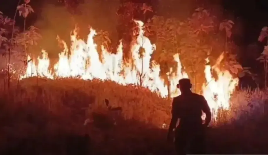 Karhutla dan Kekeringan Meluas di Jawa Barat, 325,87 Hektare Lahan Terbakar dan 215 Ribu KK Terdampak