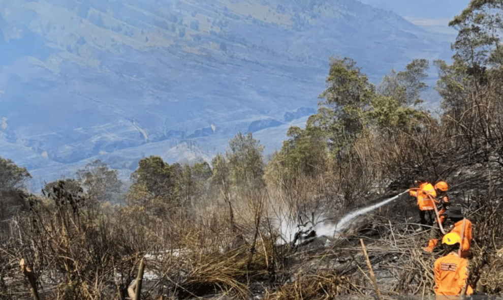 Api di Jemplang Bromo Berhasil Dipadamkan setelah Petugas Gabungan Berjibaku Sejak Malam