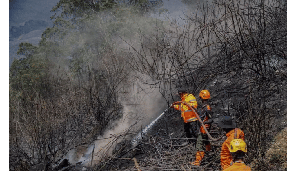 Titik Asap di Gunung Bromo Berhasil Dilokalisasi, Petugas Gabungan Tetap Siaga Cegah Api Membesar