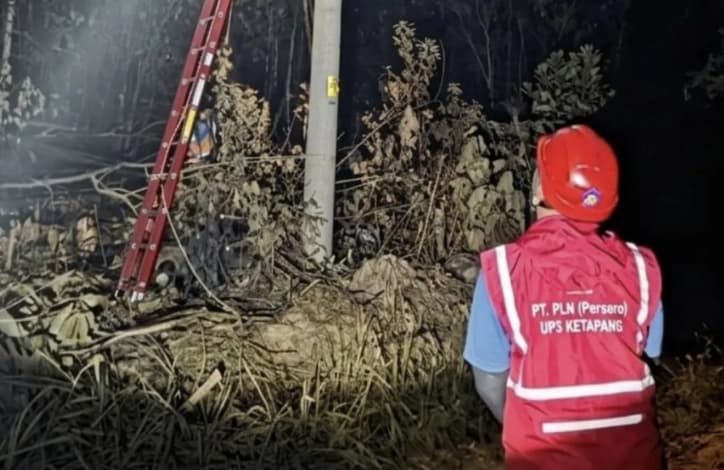 PLN Ketapang Bergerak Cepat Pulihkan Jaringan Listrik Terdampak Karhutla di Pangkalan Batu