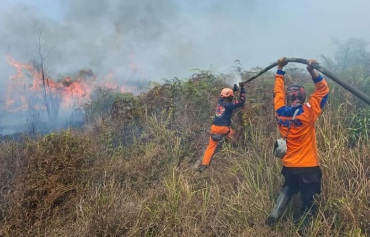 Karhutla Poso Hanguskan 50 Hektare Lahan, Api Merambat hingga Dekati Permukiman dan Sekolah