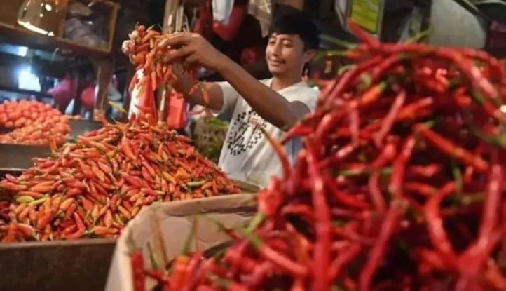 BPS Mencatat Harga Cabai Rawit Melonjak dan Memicu Kenaikan IPH di 260 Daerah