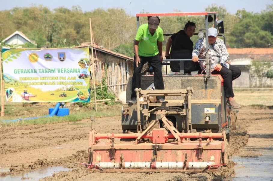 Pemkab Rembang Terapkan PM-AAS, Produktivitas Padi Berpotensi Naik Jadi 10 Ton per Hektare