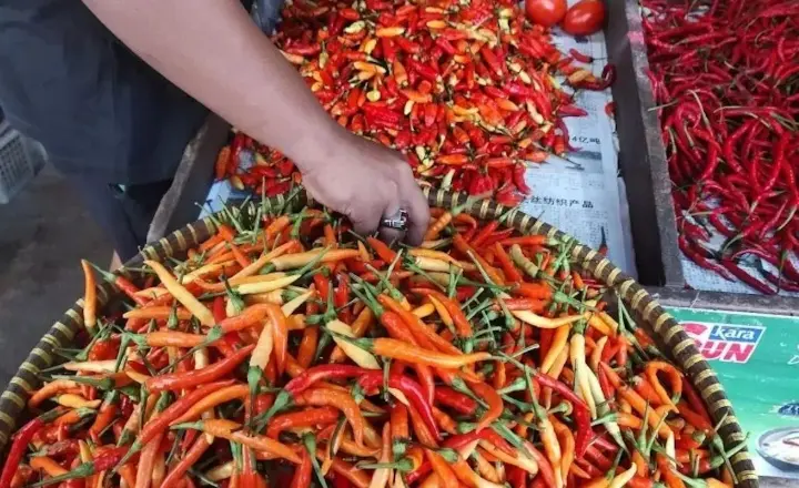 PIHPS Mencatat Cabai Rawit Merah Tembus Rp99.550 per Kilogram, Telur Ayam Rp31.550