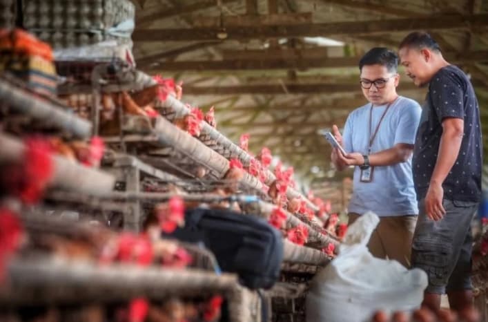 Indeks Bisnis BRI Catat UMKM Tetap Ekspansif pada Triwulan II 2026, Optimisme Usaha Terjaga
