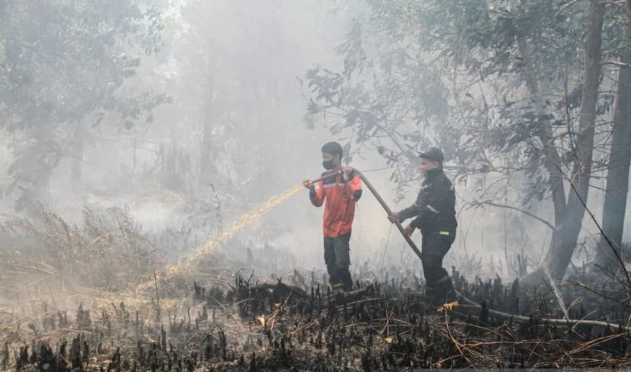 Karhutla Melanda Palangka Raya, 1.201 Hektare Lahan Terbakar dalam 567 Kejadian