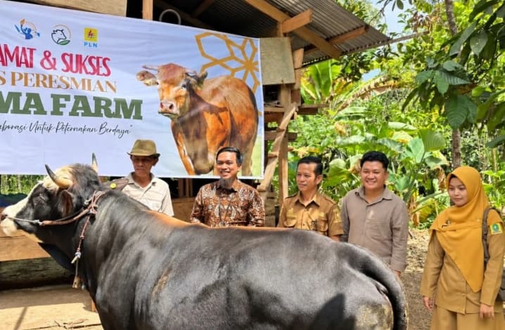 PLN UID Sulselrabar Dorong Kemandirian Ekonomi Warga Sinjai lewat Pelatihan Digital dan Peternakan