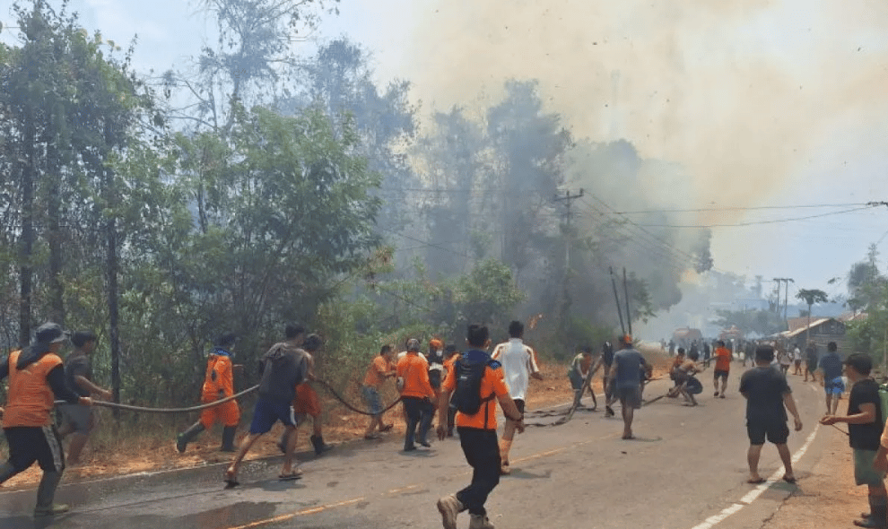 Karhutla di Poso Hanguskan 15 Hektare Lahan dan Dua Rumah Warga