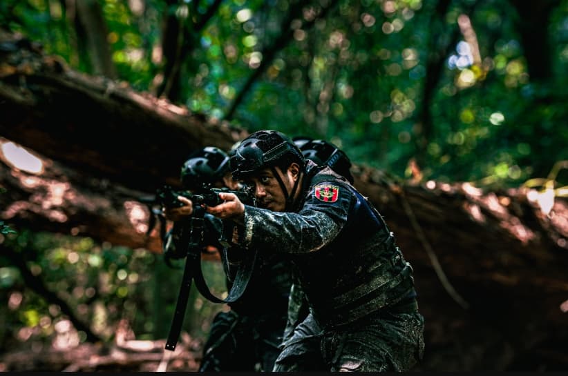 Bea Cukai dan Polresta Sorong Kota Gagalkan Peredaran 306 Gram Ganja Asal Jayapura