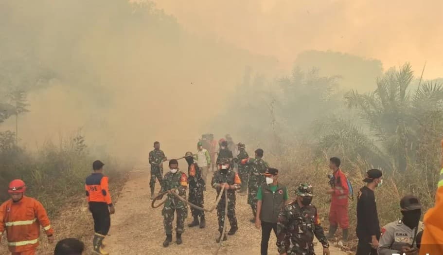 Satgas Karhutla Batang Hari Perkuat Mobilisasi Petugas, 678 Hektare Lahan Terbakar
