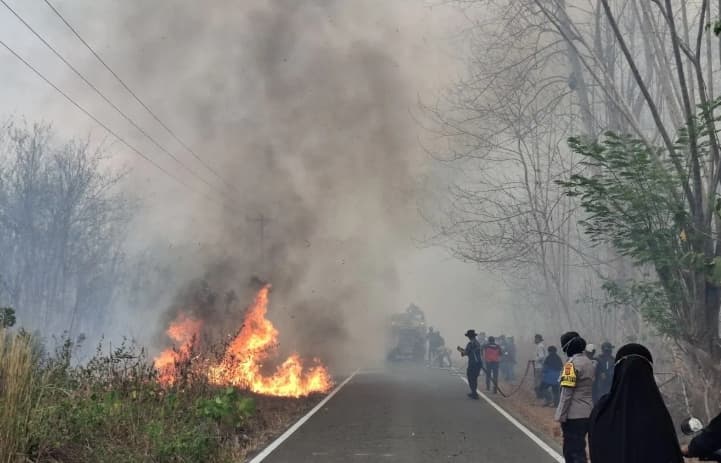 Pengamat Minta Penegakan Hukum Karhutla Tak Berhenti pada Pelaku Perorangan