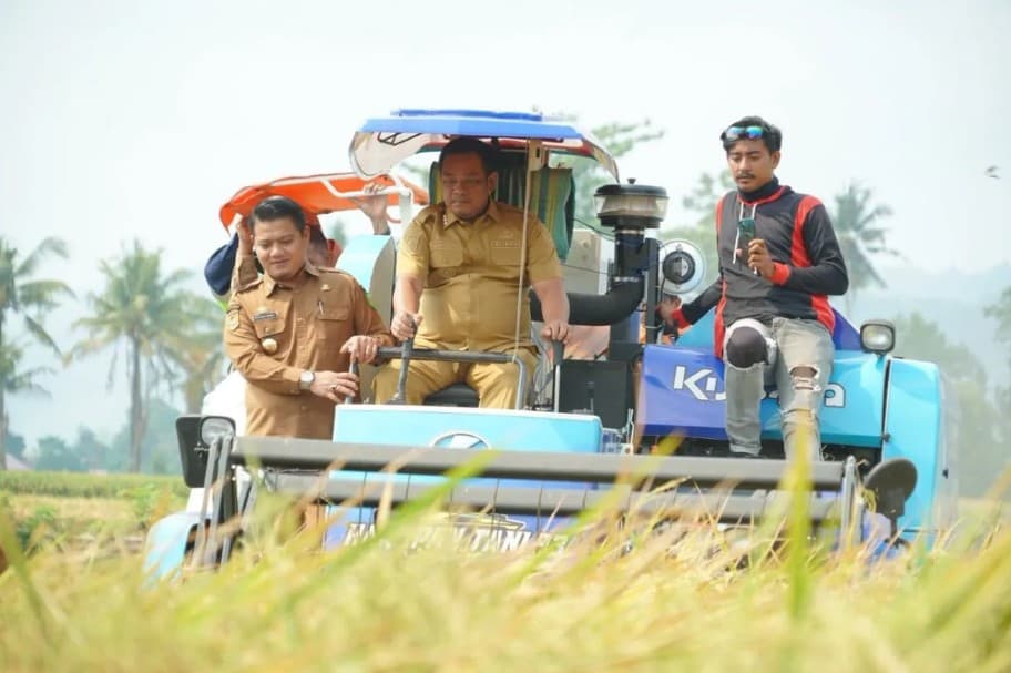 Bupati Luwu Panen Perdana Inpago 13, Dorong Produktivitas dan Ketahanan Pangan