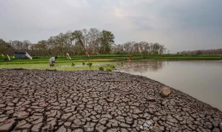 El Nino Sangat Kuat Picu Kekeringan, 98 Zona yang Biasanya Hujan Sepanjang Tahun Ikut Kemarau