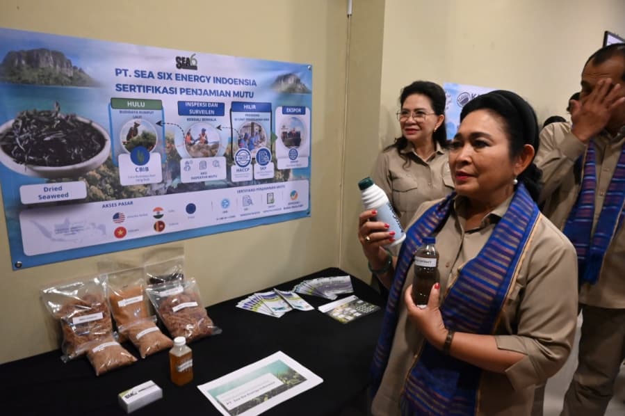 Titiek Soeharto Dorong Hilirisasi Rumput Laut hingga Produk Akhir untuk Tingkatkan Nilai Tambah