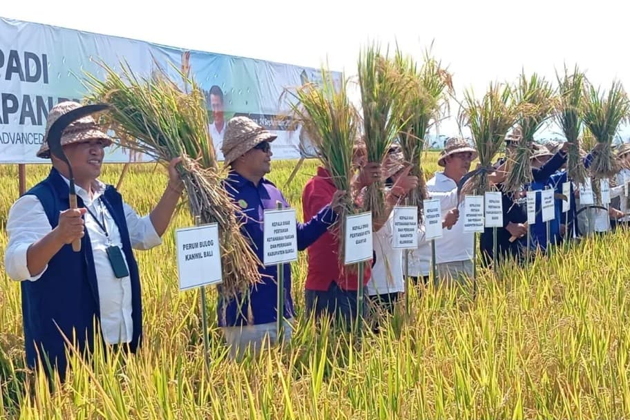 Gianyar Adopsi Teknologi Pertanian Modern Jembrana untuk Tingkatkan Produktivitas Padi
