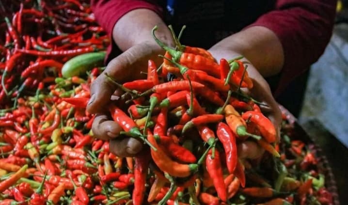 PIHPS Catat Harga Cabai Rawit Merah Tembus Rp104.850 per Kilogram, Telur Ayam Rp30.100