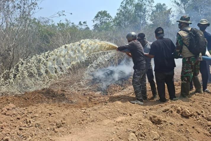Tim Gabungan Padamkan Karhutla di Dua Titik TN Way Kambas, Kelompok Gajah Dipastikan Aman